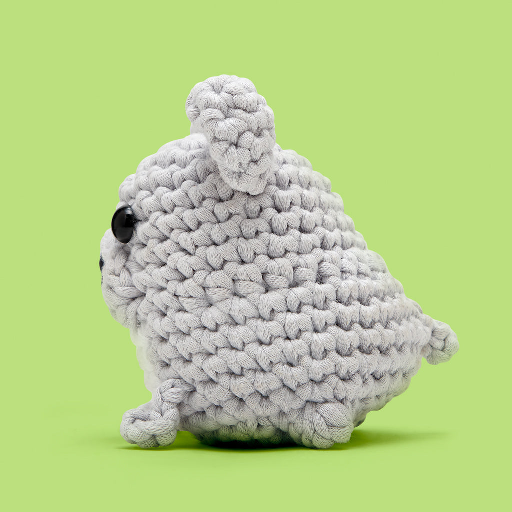 Get This Paw-ty Started Bundle