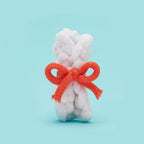 Tiny Rolled Diploma Accessory Kit
